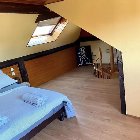 L'Alsacien Cosy : Duplex - Netflix - Wifi/Fibre Apartment Mulhouse Exterior photo