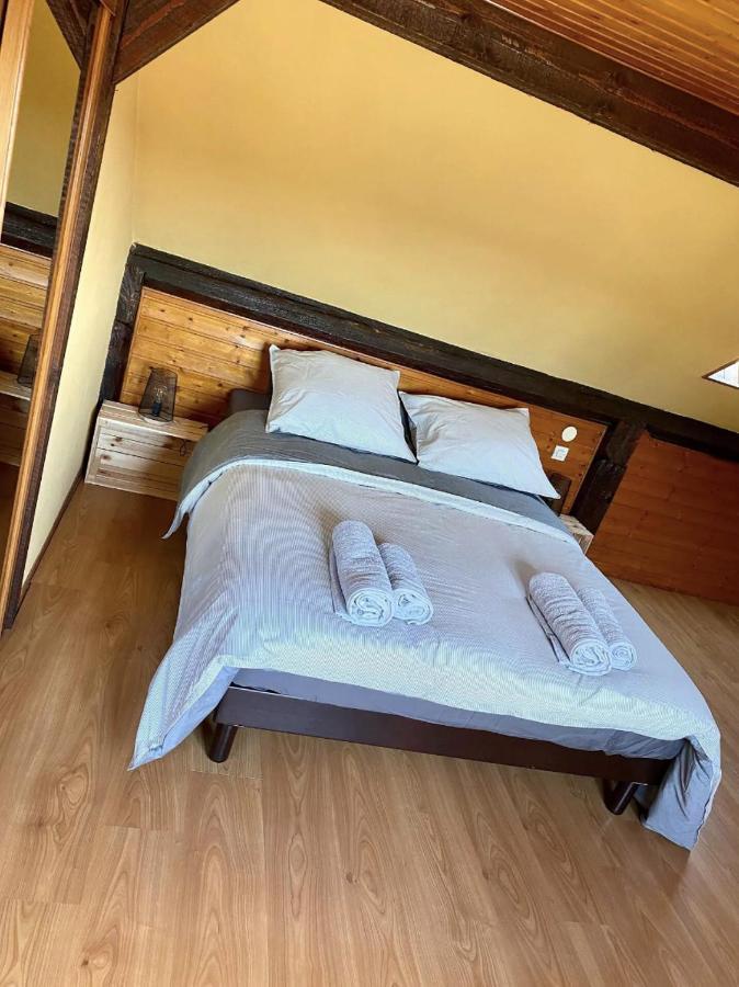 L'alsacien Cosy : Duplex - Netflix - Wifi/fibre Mulhouse