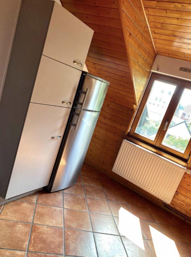 Apartment L'alsacien Cosy : Duplex - Netflix - Wifi/fibre Mulhouse
